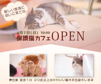 保護猫カフェのバナー